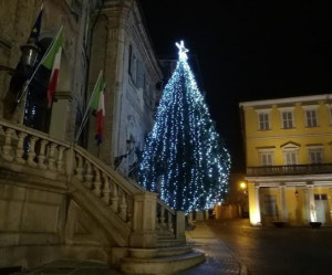 Bra, due alberi di Natale illuminati in città