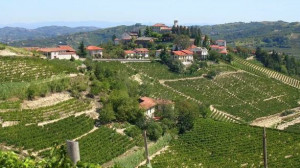 Dal primo gennaio i Comuni della Granda passano da 250 a 247