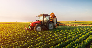 Qualità e quantità buone per le produzioni agricole cuneesi per il 2018