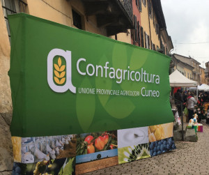 Impiegati agricoli, rinnovato in Confagricoltura il contratto regionale di lavoro