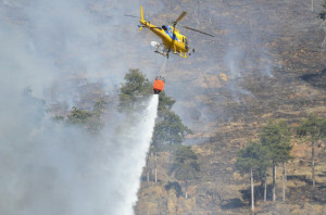 Dichiarato lo stato di massima pericolosità per incendi boschivi su tutto il territorio regionale
