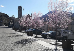 'In montagna la siccità invernale ha anticipato la primavera'