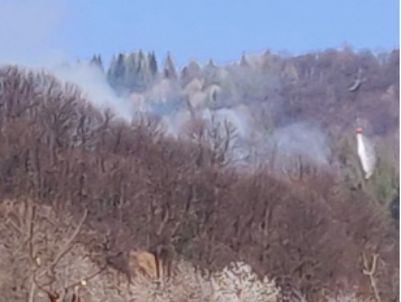 Incendio in valle Stura tra Rittana e Roccasparvera