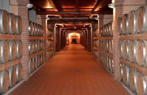 Il 6 per cento del vino italiano è prodotto in provincia di Cuneo