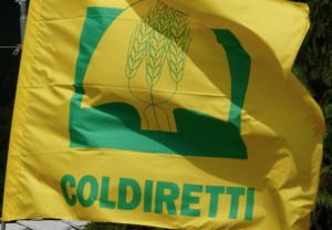 Coldiretti Cuneo: domani al via il nuovo mercato 'Campagna Amica' a Borgo San Dalmazzo