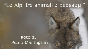 La mostra fotografica 'Le Alpi tra animali e paesaggi' al Castello degli Acaja di Fossano