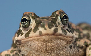 A Cuneo la mostra 'Era' del fotografo torinese Fabrizio Moglia