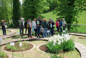 A Chiusa di Pesio il 17, 18 e 19 maggio c'è 'Il Fascino delle piante'