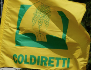 Coldiretti: dieta mediterranea e riso della solidarietà protagonisti sabato al mercato Campagna Amica di Cuneo