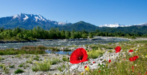 Cuneo, con l’estate arriva la 'Festa del Parco', quest’anno ancora più ecosostenibile
