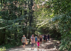 Domenica 16 giugno torna 'Cammina Clavesana'