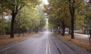 Niente area pedonale in viale degli Angeli nel fine settimana dell'Illuminata