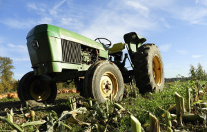 Controlli a tappeto sulle aziende agricole del Saluzzese: comminate sanzioni per 20 mila euro