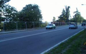 L'appello di un lettore al sindaco: 'Lasciate almeno un'acacia in corso Marconi'