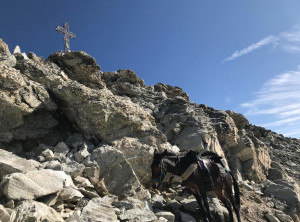 'Degio' fa 10: con la mula Pioggia sulla vetta della Rocca la Marchisa