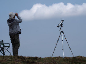 Parco del Monviso, al Bric Lombatera cominciano le osservazioni dei rapaci migratori