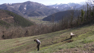 Il tartufo nero della valle Grana protagonista in Friuli