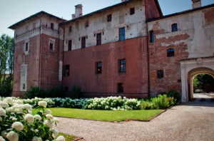 Confagricoltura fa il punto sul mercato delle pesche con Cirio e Protopapa