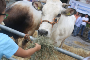 Villanova Mondovì, è iniziata la Festa dell'Addolorata (VIDEO)