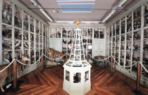 I Musei di Bra nei giorni di Cheese: eventi, multivisione e un compleanno speciale