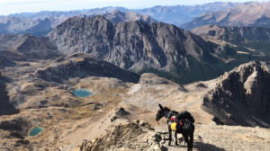 ‘Degio’ e Pioggia alla conquista delle Alpi francesi