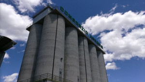 Dalle casse del Consorzio agrario di Cuneo ‘sparirono’ 42 mila euro: sotto accusa un ex agente