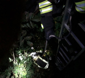 Busca, i Vigili del Fuoco salvano un cane caduto in un canale