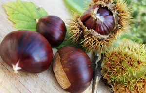 'Annata di ottima qualità per le castagne Made in Piemonte'