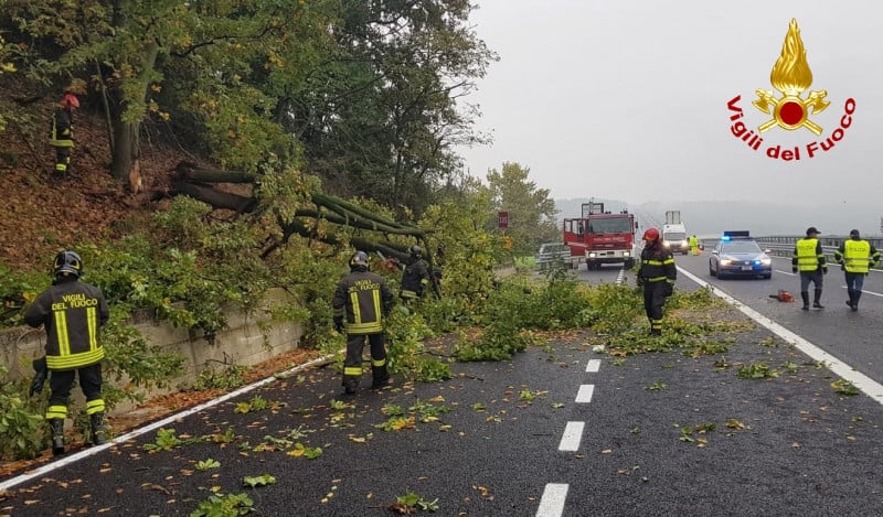 Albero caduto sull'autostrada A6, intervengono i Vigili del Fuoco