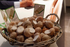 'Sotto il segno della lumaca': un menu speciale per la Fiera Fredda nei ristoranti di Borgo e valli