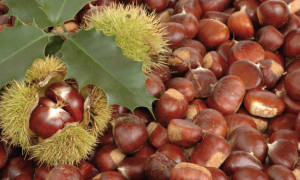 Chiusa la stagione 2019 del Mercato delle Castagne di Borgo San Dalmazzo: il bilancio dell'annata