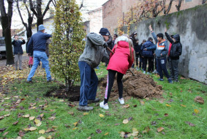 Festa dell’Albero a Bra: venti nuovi alberi nelle scuole cittadine