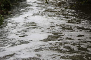 Schiuma nelle acque del Rio Torto a Verzuolo, in corso le analisi dell'Arpa