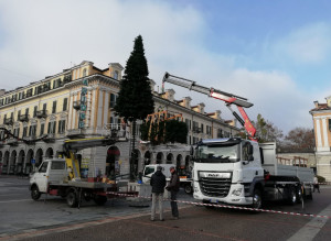 Cuneo, iniziato l'allestimento del tradizionale albero di Natale in piazza Galimberti