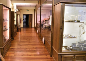Regolarmente aperto anche all’Immacolata il Museo Naturalistico del Fiume Po di Revello
