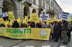 Coldiretti Piemonte: 'Dopo i 20 mila agricoltori in piazza a Torino arrivano i primi risultati'