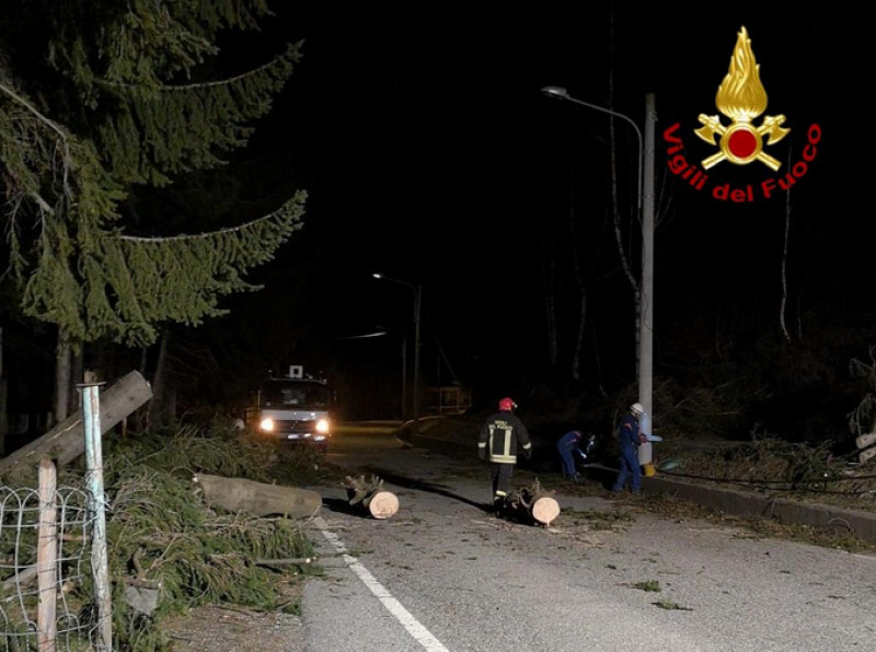 Vento forte a Montoso: abbattuti alberi e pali