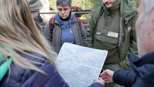 Il Parco delle Alpi Marittime coinvolto nel recupero della carcassa di un vitello morto