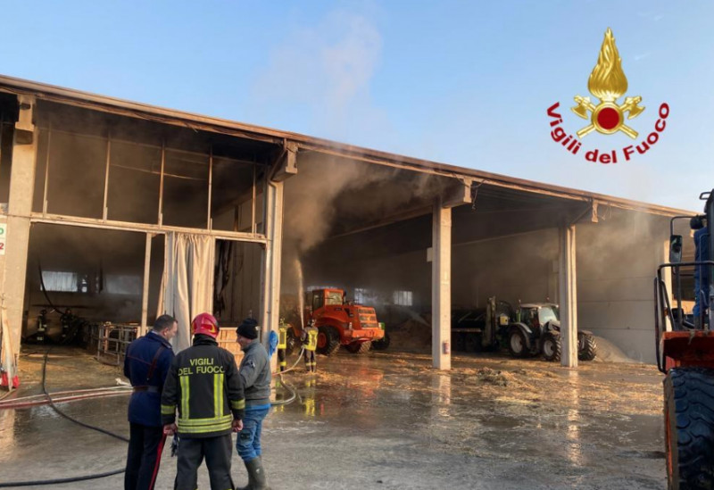 Incendio in un'azienda agricola a Caramagna Piemonte, morti 10 vitelli