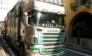 Disagi al traffico a Demonte, camion perde carburante sulla statale