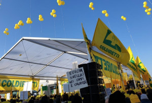 Cimice asiatica: in Piemonte colpite 13500 aziende con danni che arrivano a 180 milioni di euro