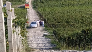 'Braccianti sfruttati, orari troppo lunghi e salari bassi': in un rapporto Onu le accuse all'industria alimentare italiana