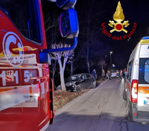 Benevello, cinghiale fa sbandare un'auto che si schianta contro un albero: grave una ragazza di 26 anni
