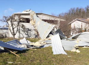 'Clima impazzito, vento e caldo fuori stagione fanno danni in agricoltura'