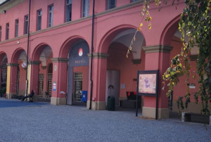 Alla Biblioteca di Alba Daniela Febino legge 'Il fiore d’oro'