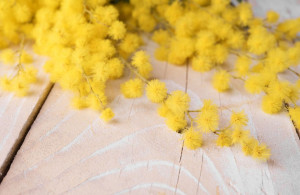 A Busca una mostra fotografica per la festa della donna