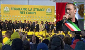 Cervere, il Comune sposa la battaglia di Coldiretti contro la cimice asiatica
