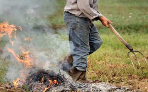 Abbruciamenti, Coldiretti: 'Passo avanti importante'