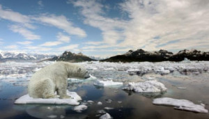 Alla scuola di Pace di Bra si parla di emergenza climatica