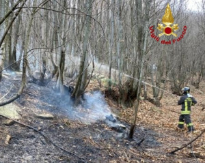 Incendio boschivo a Envie, sul posto i Vigili del Fuoco